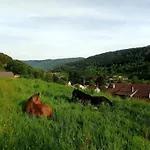 In Vosges Near Slopes Chalet *