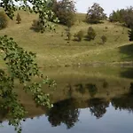 In Vosges Near Slopes