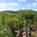 Chalet In Vosges Near Slopes *
