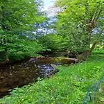 Chalet In Vosges Near Slopes Saint-Maurice-sur-Moselle