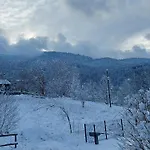 In Vosges Near Slopes