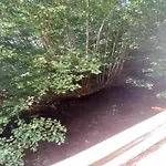 In Vosges Near Slopes 莫河畔圣莫利斯