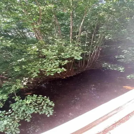 With Sauna In Vosges *