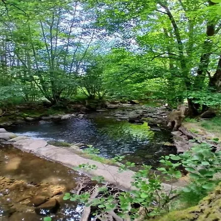 With Sauna In Vosges شاليه *