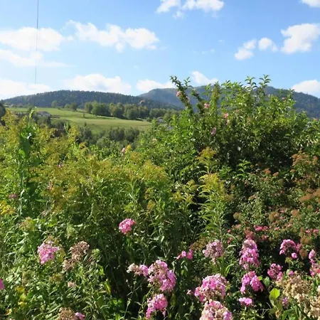 In Vosges Near Slopes Horská chata Saint-Maurice-sur-Moselle