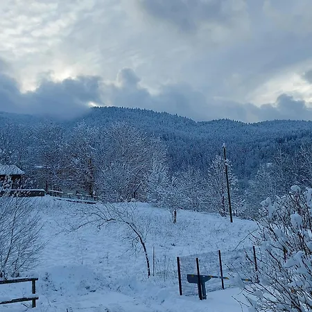 شاليه In Vosges Near Slopes