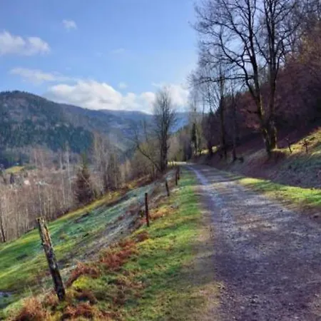 In Vosges Near Slopes