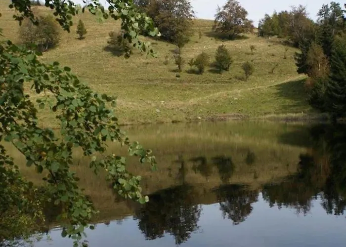 In Vosges Near Slopes