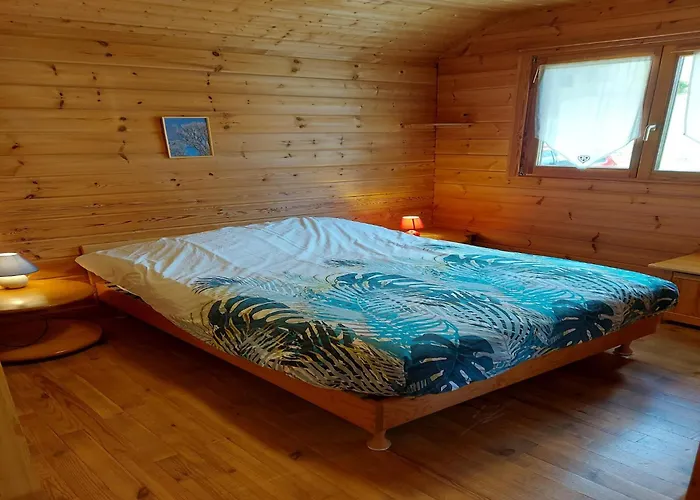 In Vosges Near Slopes Saint-Maurice-sur-Moselle