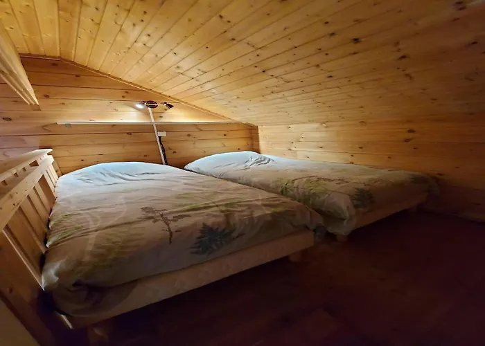 In Vosges Near Slopes