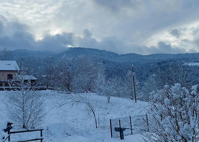 In Vosges Near Slopes