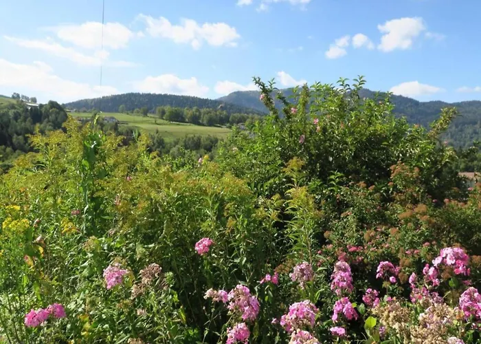 In Vosges Near Slopes Horská chata Saint-Maurice-sur-Moselle