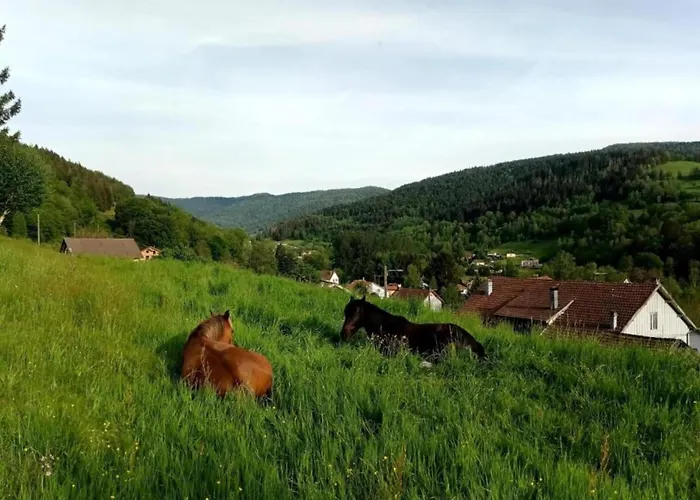 Horská chata In Vosges Near Slopes