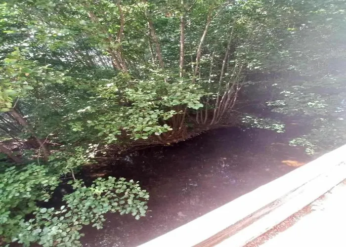 In Vosges Near Slopes Saint-Maurice-sur-Moselle