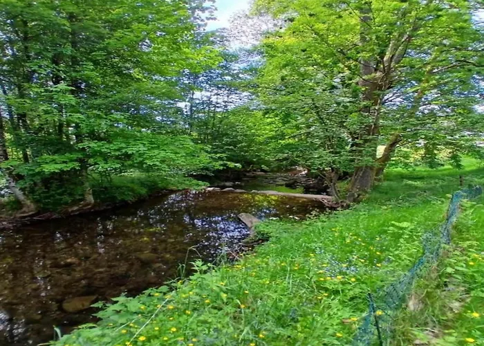In Vosges Near Slopes * Saint-Maurice-sur-Moselle